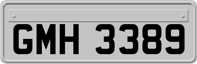 GMH3389