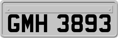 GMH3893