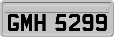 GMH5299
