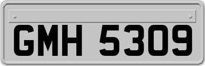 GMH5309