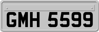GMH5599