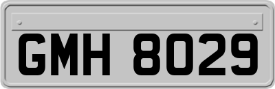 GMH8029