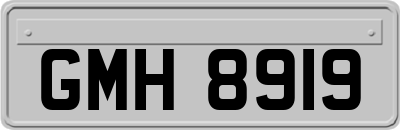GMH8919