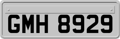 GMH8929