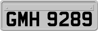 GMH9289