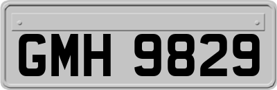 GMH9829