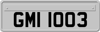 GMI1003