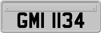 GMI1134