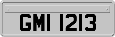 GMI1213