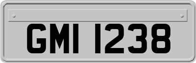 GMI1238