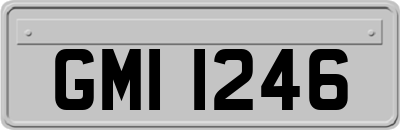 GMI1246