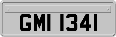 GMI1341