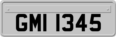 GMI1345