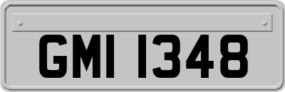 GMI1348