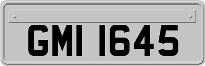 GMI1645