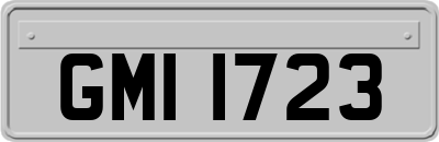 GMI1723
