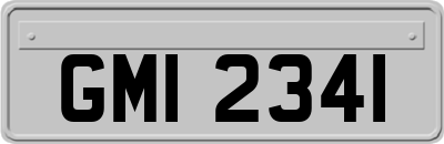 GMI2341
