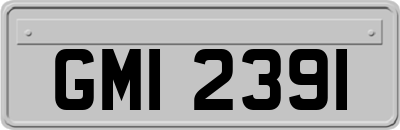 GMI2391