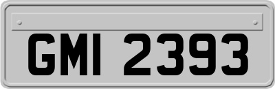 GMI2393