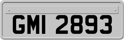 GMI2893