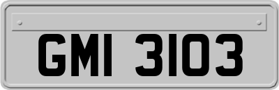 GMI3103