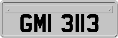 GMI3113