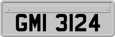 GMI3124