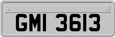 GMI3613