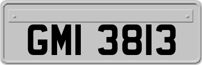 GMI3813