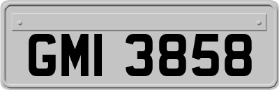GMI3858