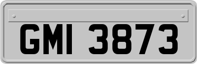 GMI3873