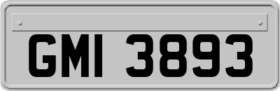 GMI3893