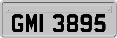 GMI3895