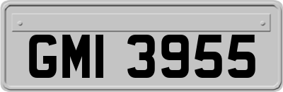 GMI3955