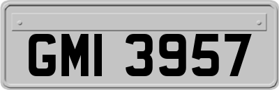 GMI3957