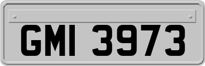 GMI3973