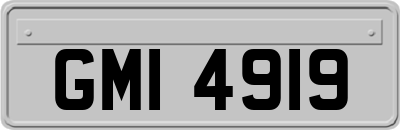 GMI4919