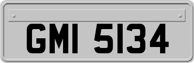 GMI5134
