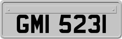 GMI5231