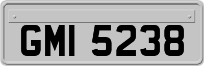 GMI5238