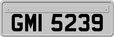 GMI5239