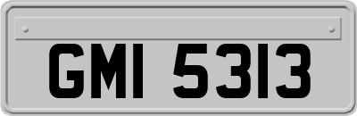 GMI5313