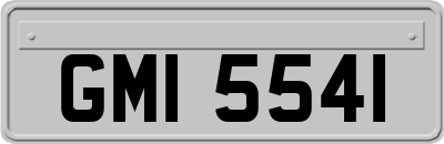 GMI5541