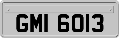 GMI6013