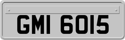 GMI6015