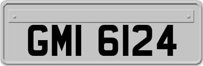 GMI6124