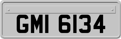 GMI6134