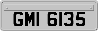 GMI6135
