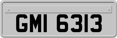 GMI6313