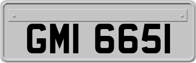 GMI6651